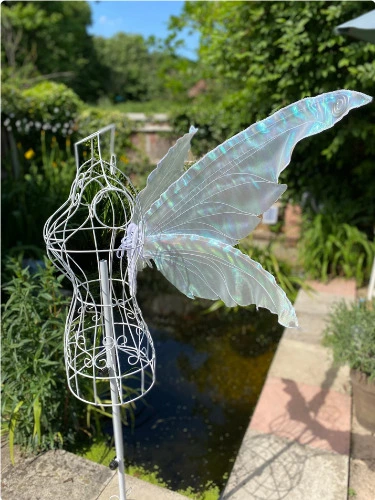 Medium pixie wings 