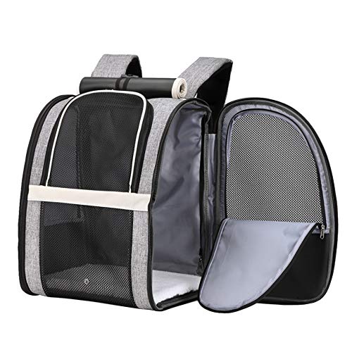 Texsens Pet Carrier Backpack with Window Blind for Small Cats Dogs, Ventilated Design, Safety Straps, Buckle Support, Collapsible, Designed for Travel, Hiking, Winter Outing, Outdoor, Go to Vet - Upgraded-Black