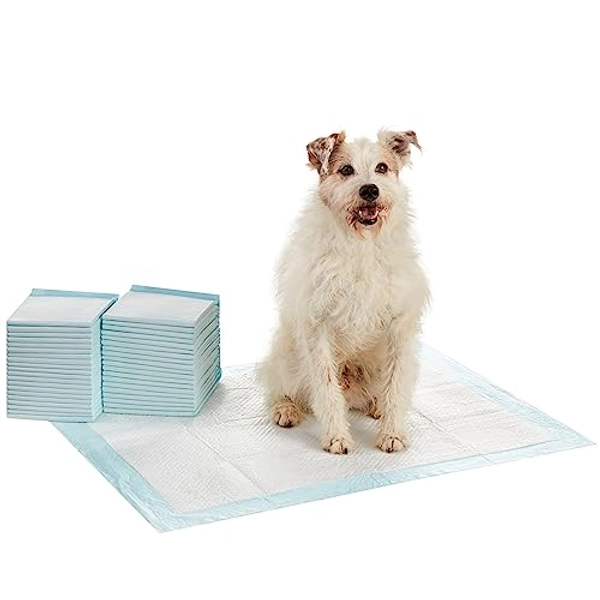 Amazon Basics Dog and Puppy Pee Pads with 5-Layer Leak-Proof Design and Quick-Dry Surface for Potty Training, X-Large, 28 x 34 Inch - Pack of 40, Blue & White