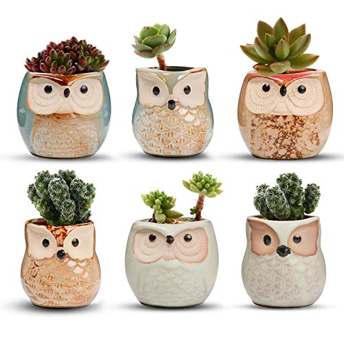 T4U 6CM Ceramic Succulent Planter Pots Mini Size Set of 6, Cute Owl Bonsai Pots Home and Office Decoration Desktop Windowsill Gift for Gardener for Birthday - Owl Shape