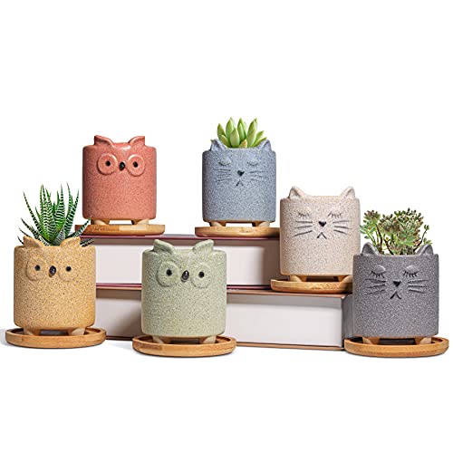 T4U 7CM Cute Animal Plant Pots, Small Animal Planters with Saucer Set of 6, Little Ceramic Pots for Succulents Cactus, Cute, Decoration Gift for Garden Home Office (No Plants) - Cat & Owl Shape