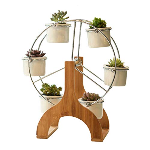 LINGLAN Succulent Planter Ferris Wheel FlowerPots Ceramic Garden Plant Pots With stand Indoor Set Of 6 (Wood) - White