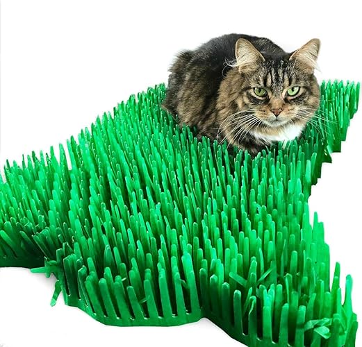 CATMAT. Tissue Paper Cat Mat. Green paper imitation grass play mat - fun for Indoor Cats and Kittens (pack of two) - 2-pack - Green