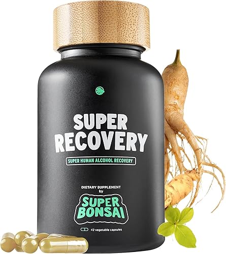 Super Recovery Alcohol Recovery Capsules by SuperBonsai – Doctor-Formulated Post-Alcohol Morning Recovery with DHM, Milk Thistle & B Vitamins – Vegan, Non-GMO, Sugar-Free Hangover Support – 14 Serving