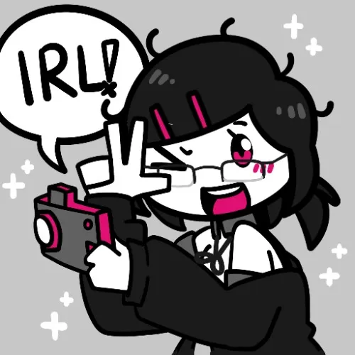 Camera and Setup for IRL Videos