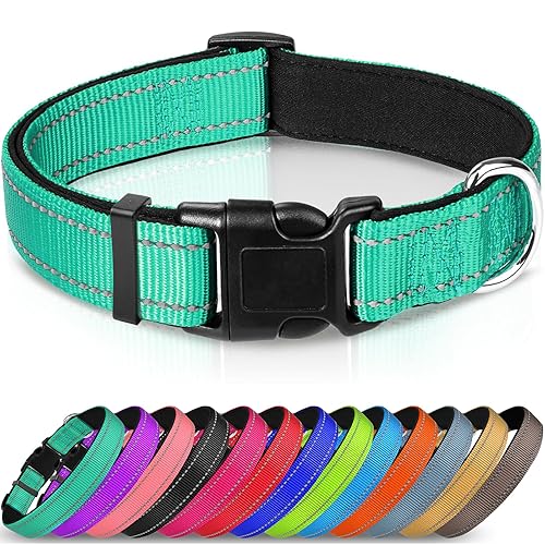 Reflective Padded Neoprene Pet Collar - Teal