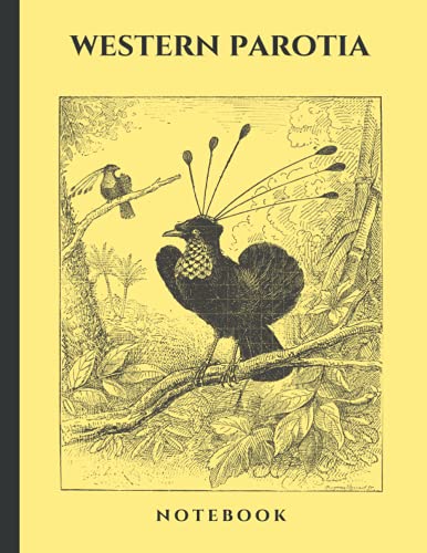Composition Notebook: Vintage Western Parotia - 8.5x11 Inches, College Ruled, 60 Sheets