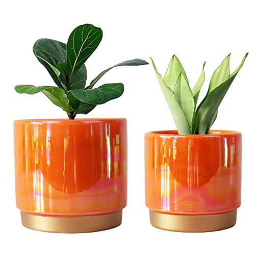 YFFSRJDJ Ceramic Flower Plants Pots Planter with Drainage Hole, 6.0 inch+5.0 Inch. Indoor-Outdoor Large Round Succulent Orchid Pot Set (Peach) - Peach