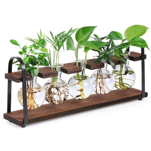 Plant Propagation Stations with Wooden Stand