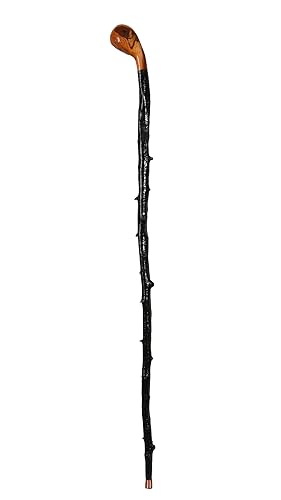 Imported Shillelagh Wooden Irish Walking Stick, Handcrafted 100% Blackthorn Wood Cane, Handles All Unique, Black High Gloss Lacquered, Made in Ireland 36" - Black - Rounded Handle