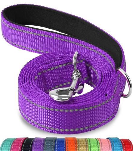 Joytale Double-Sided Reflective Dog Leash, 6 FT/5FT/4 FT, Padded Handle Nylon Dogs Leashes for Walking, Training Lead for Medium & Large Dogs, Purple, 6FT - 6 ft Standard(Pack of 1) Purple