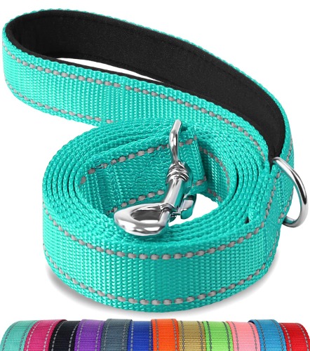Joytale Double-Sided Reflective Dog Leash, 6 FT/5FT/4 FT, Padded Handle Nylon Dogs Leashes for Walking, Training Lead for Medium & Large Dogs, Teal, 6FT - 6 ft Standard(Pack of 1) Teal