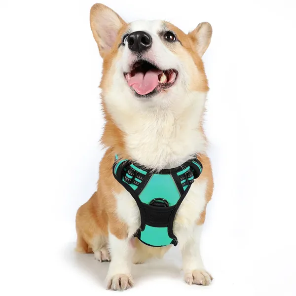 rabbitgoo Dog Harness, No-Pull Pet Harness with 2 Leash Clips, Adjustable Soft Padded Dog Vest, Reflective No-Choke Pet Oxford Vest with Easy Control Handle for Medium Dogs, Mint Green, M