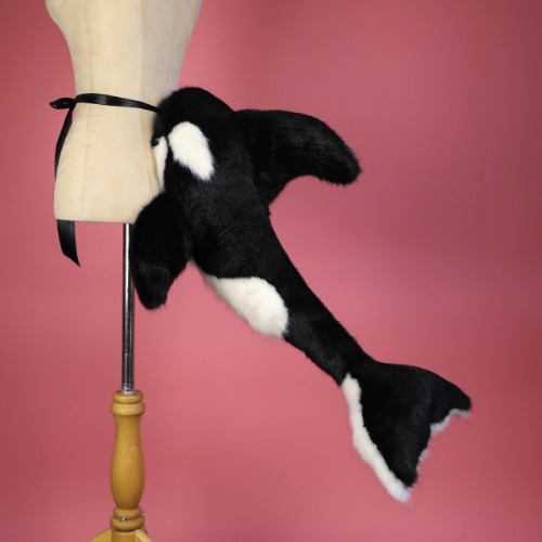 Orca Tail