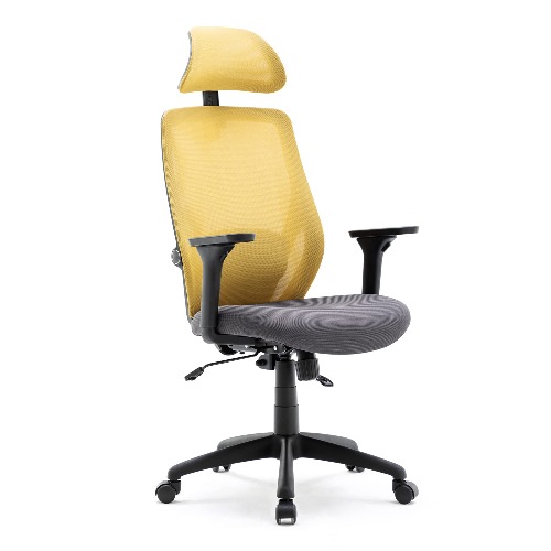 HNNHOME Recline Ergonomic Office Chair with Back Support and Headrest, Tilt Function Position Lock, Home Office Computer Desk Chair with Lumbar Support, Breathable Mesh Executive Office Chair