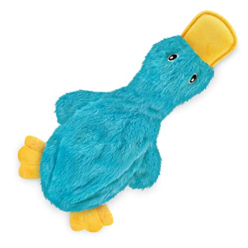 Best Pet Supplies Crinkle Dog Toy for Small, Medium, Cute No Stuffing Duck with Soft Squeaker, Fun for Indoor Puppies and Senior Pups, Plush No Mess Chew and Play - Turquoise, Large - aCrinkle Duck (Turquoise) - Large