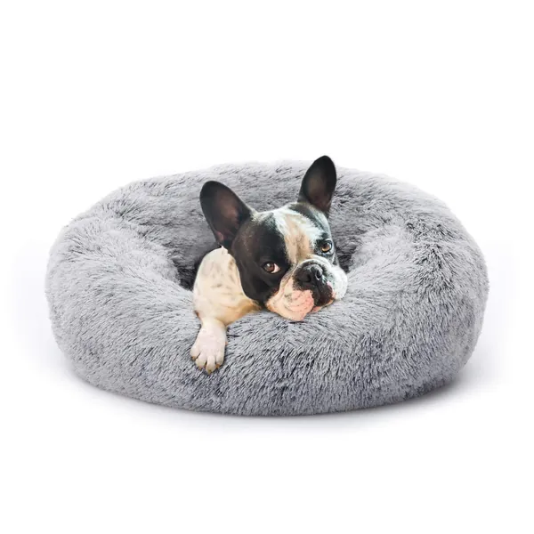 Eterish Anxiety Donut Dog Bed Small, Calming Dog Beds for Anxiety 23 inches, Fluffy Round Dog Cat Pet Puppy Bed with Raised Rim, Machine Washable, Light Grey