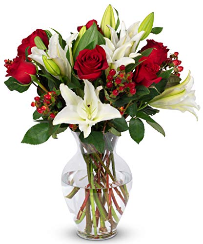 Benchmark Bouquets Red Elegance, Next Day Prime Delivery, Farm Direct Fresh Cut Flowers, Gift for Anniversary, Birthday, Congratulations, Get Well, Home Décor, Sympathy, Valentine’s Day