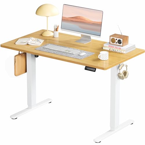 SMUG Standing Desk, Adjustable Height Electric Sit Stand Up Down Computer Table, 40x24 Inch Ergonomic Rising Desks for Work Office Home, Modern Lift Motorized Gaming Desktop Workstation, Natural - Natural - 40*24