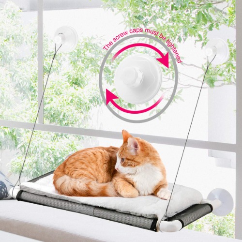 Cat Window Perch 😺💝🎁