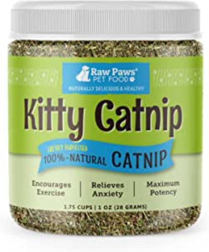 Natural Catnip 🌱😺