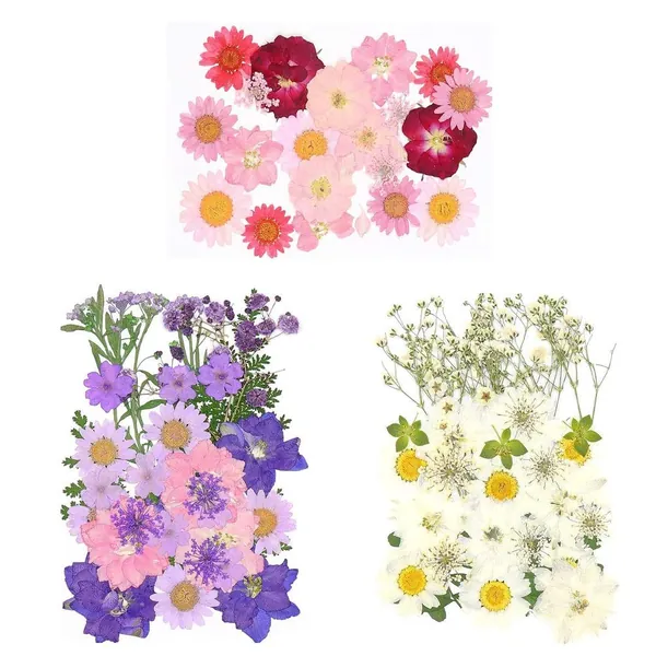 kuou 90 PCS Multiple Real Flowers, Natural Dried Pressed Flowers Dried Daisy Flower for Crafts Candle Resin Scrapbooking Pendant Jewelry DIY