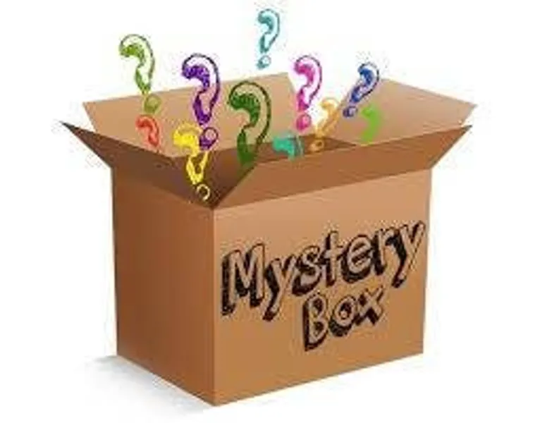 Mystery Slime Package ~ Free Shipping