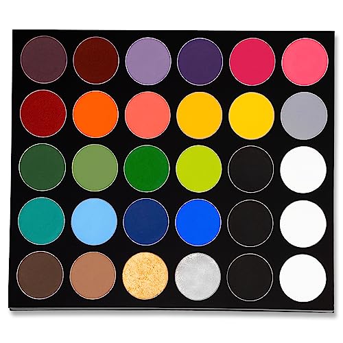 Mehron Makeup Paradise Makeup AQ 30 Color Pro Palette | Magnetic and Refillable Palette | Body Paint & Face Paint | Professional Makeup for Costumes, SFX, Halloween, & Cosplay - Original