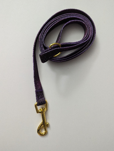 Galaxy Pet Regular Leash - M