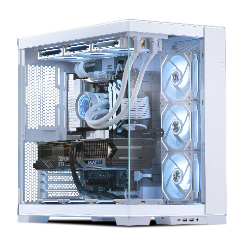 The Great North - Professional