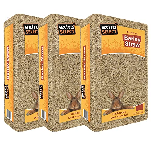 Extra Select Barley Straw Large 2 kg (Pack of 3) - 2 kg (Pack of 3)