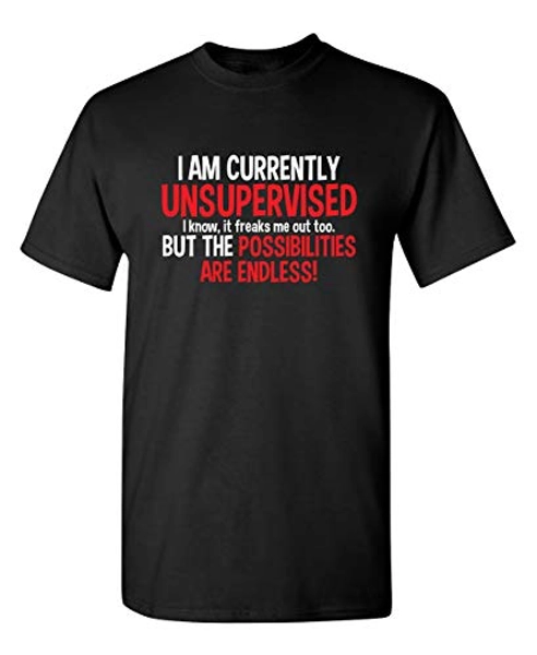 I Am Currently Unsupervised Possibilities are Endless Joke Mens Funny T Shirt