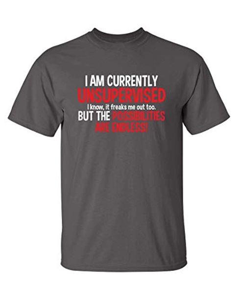 I Am Currently Unsupervised Possibilities are Endless Joke Mens Funny T Shirt