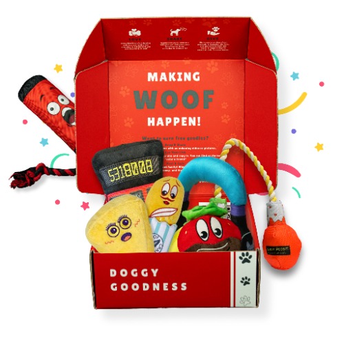 Surprise Box of Plush Dog Toys - 6