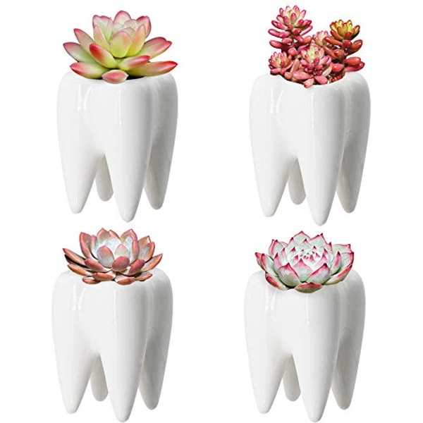 YOFIT Modern Style Teeth Pots Ceramic Flower Pot, White Succulent Cactus Bonsai Planter Container Indoor, 3.7" Set of 4 - 4 - White