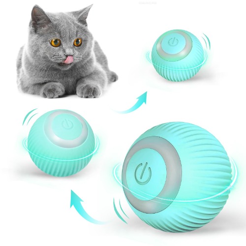 toy for Chip!