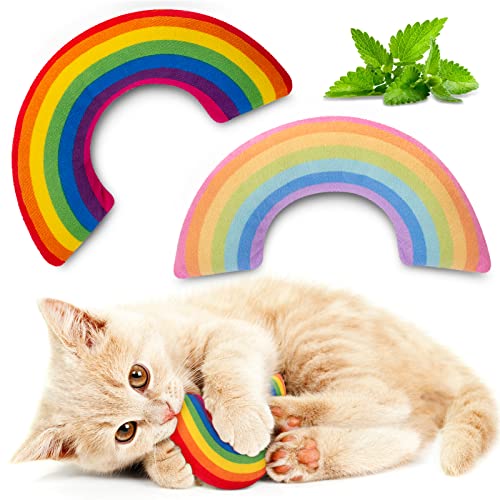 ETEKYER Catnip Toys, Catnip Toys for Cats, Cat Toys, Cat Toys for Indoor Cats, Cat Toys with Catnip, Interactive Cat Teething Chew Toys Cat Pillow Toys for Kitten Kitty, 2 Pack - Multi-color 2 Pack