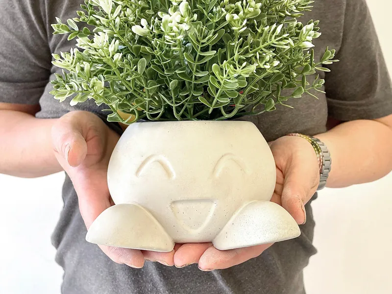 Concrete Succulent Planter, Oddish Succulent Planter