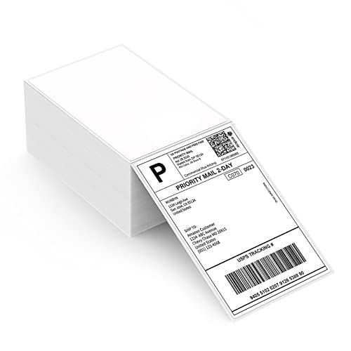 MUNBYN Thermal Direct Shipping Label (Pack of 500 4x6 Per Fanfold Labels) - Commercial Grade - Fanfold 500 Labels