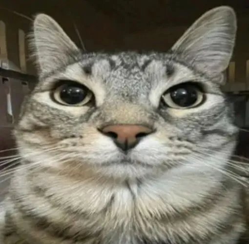 Your Entire Tax Return!😎