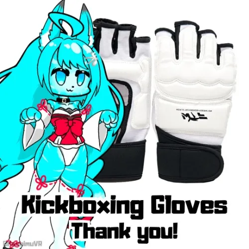 Kickboxing Taekwondo Gloves