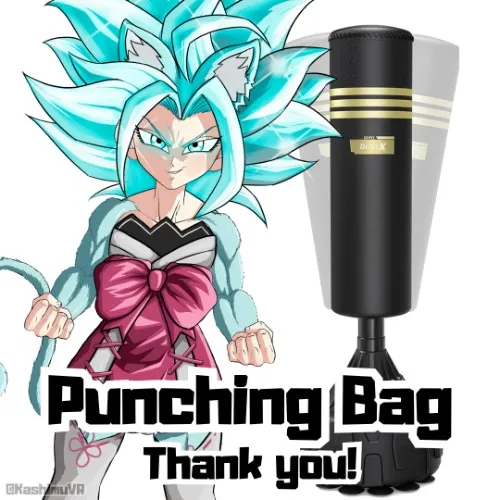 Punching Bag