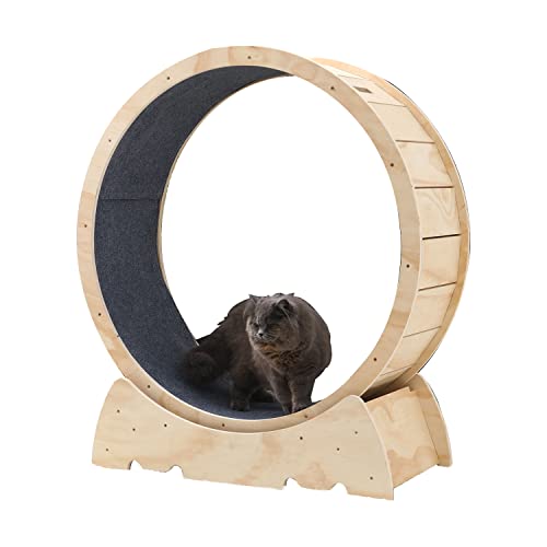 Cat Running Wheel, Cat Exercise Wheel cat Wheel Exerciser for Indoor Cats Cat Exercise Wheel Treadmill with Carpeted Runway Natural Wood Color Cat Wheel, 32.3x15.7x40