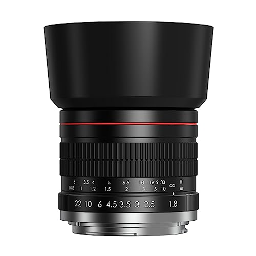 Lightdow 85mm F1.8 Medium Telephoto Manual Focus Full Frame Portrait Lens for Nikon D7500 D7200 D5600 D5500 D5300 D5200 D5100 D3500 D3400 D3300 D3200 D850 D810 D800 D750 D610 D500 D60 D6 D5 D4 etc - For Nikon Dslr