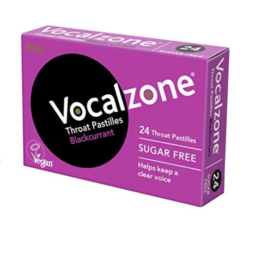 Vocalzone Pastilles 24 - Blackcurrant - 24 Count (Pack of 1)