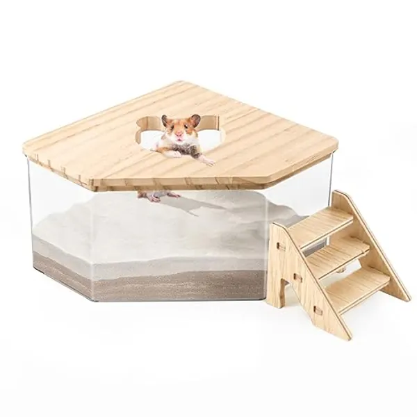 Quxddy Hamster Sand Bath Box Container, Hamster Bath Sand Gerbil Sand Bath Hamster Dust Bath, Hamster Litter Box Chinchilla Dust Bath Hamster Accessories(Pentagon+Ladder) (Pentagon+Ladder) - Pentagon+Ladder