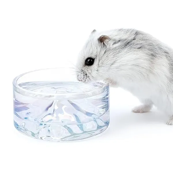 Niteangel Hamster Feeding & Water Bowls- Mount Fuji Series Glass Drinking Bowls for Dwarf Syrian Hamsters Gerbils Mice Rats or Other Similar-Sized Small Pets - Transparent