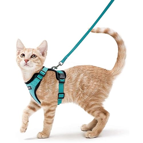 rabbitgoo Cat Harness and Leash for Walking, Escape Proof Soft Adjustable Vest Harnesses for Cats, Easy Control Breathable Reflective Strips Jacket, Emerald, XS - XS - Emerald