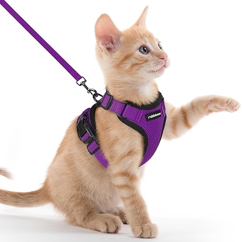 rabbitgoo Cat Harness and Leash for Walking, Escape Proof Soft Adjustable Vest Harnesses for Cats, Easy Control Breathable Reflective Strips Jacket, Purple, XXS - XX-Small - Purple