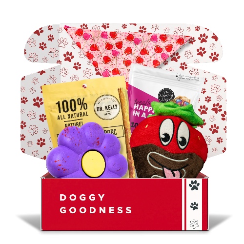 Valentines Themed Dog Box - Large